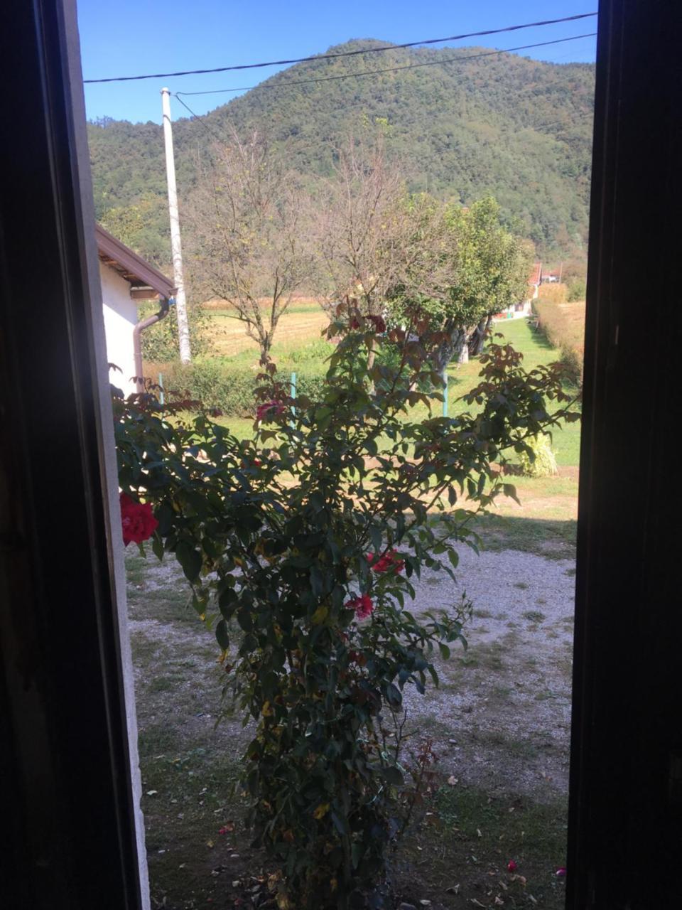 Appartamento Zvezdica Bajina Basta Esterno foto